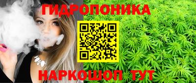 гашик Белореченск