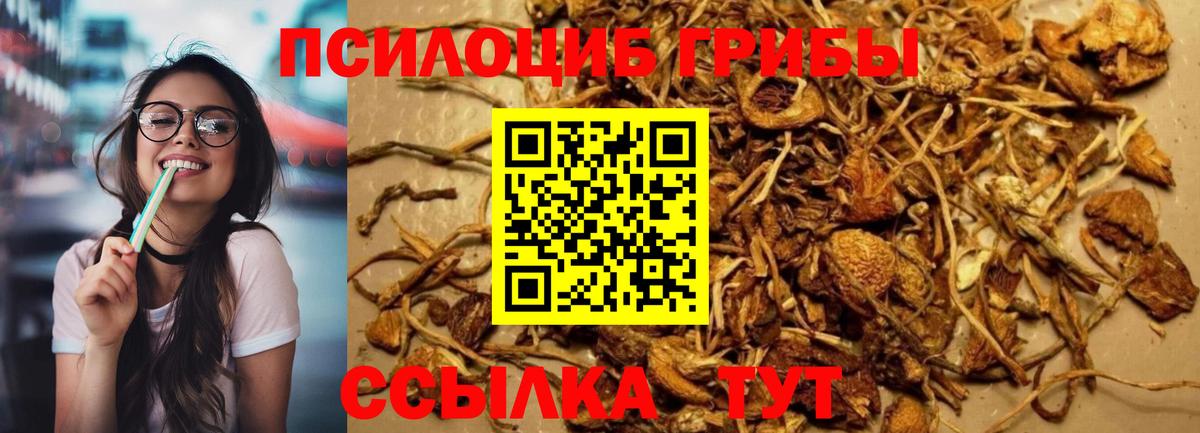 Псилоцибиновые грибы прущие грибы  Вход с VPN  Ипатово  Галлюциногенные грибы мицелий 