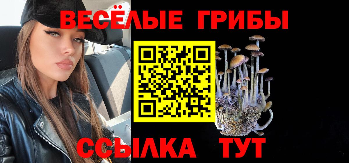 Псилоцибиновые грибы ЛСД Ипатово